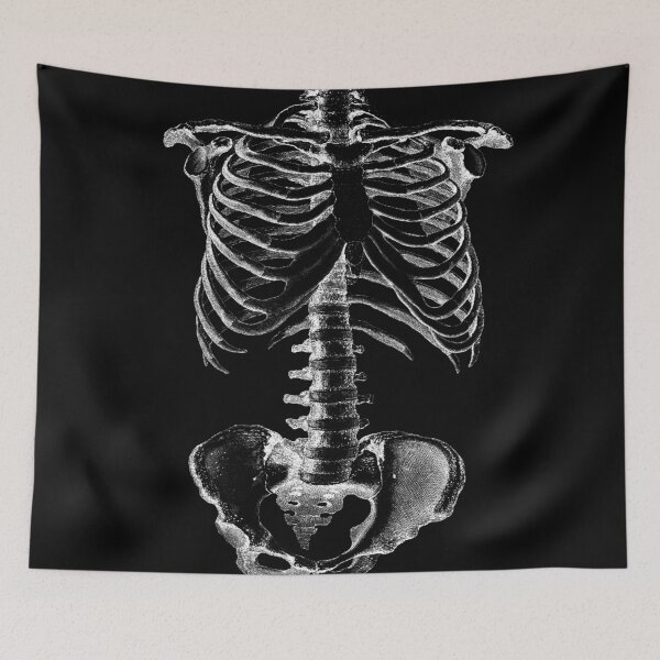 Item preview, Skeleton X-Ray designed and sold by bohokitty.