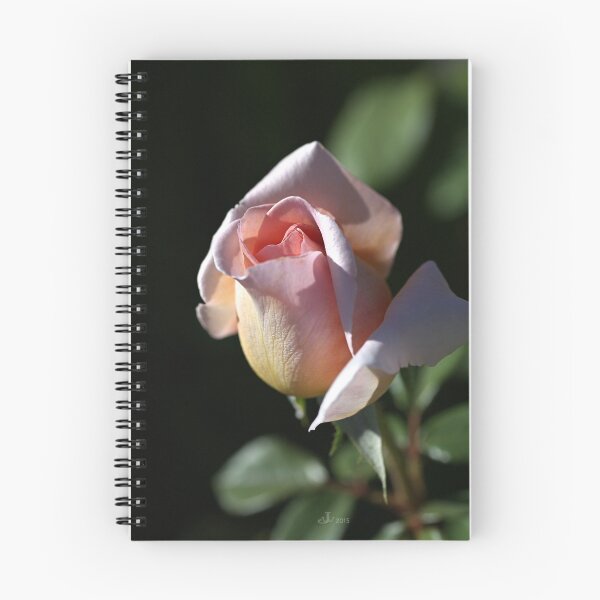 Item preview, The Morning Rose designed and sold by Joy Watson - Natural Light Photography .