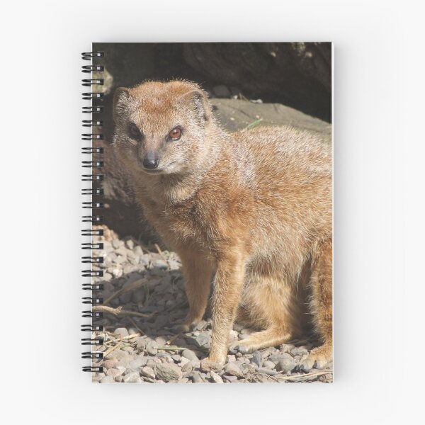 Item preview, Yellow Mongoose designed and sold by wenniewombat.