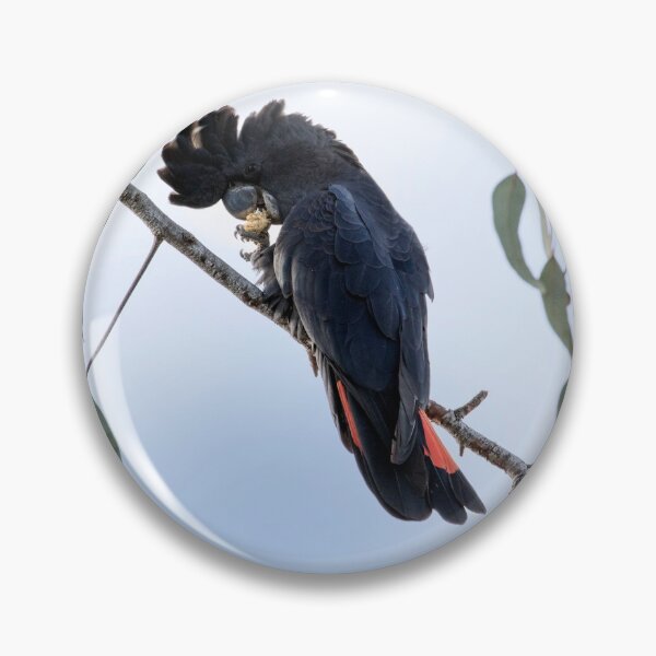 Item preview, Red Tailed Black Cockatoo in Pink Gum Tree designed and sold by Sandra Chung.