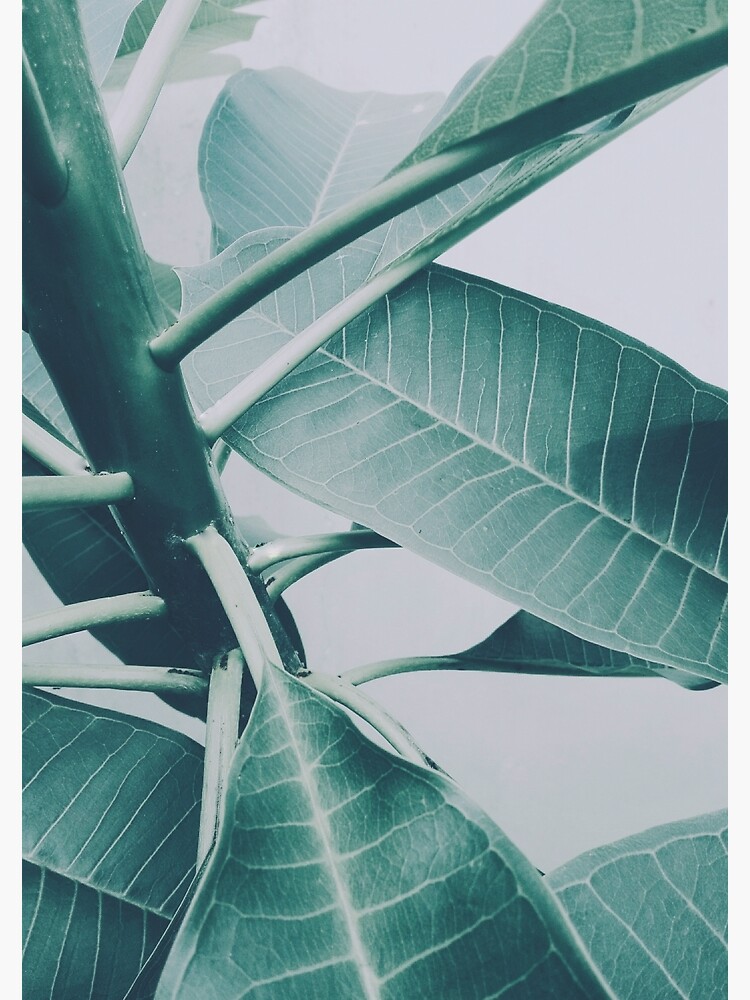 Life by sublimenation