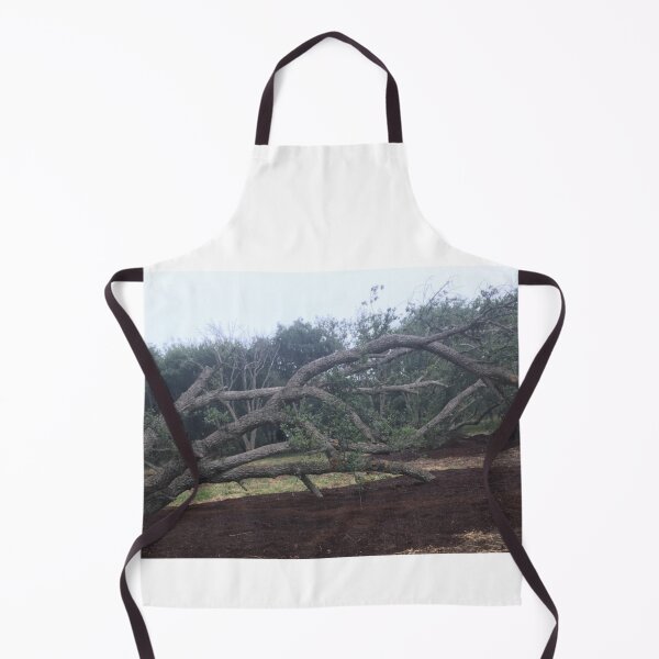 Item preview, Cork plantation, Canberra designed and sold by RogerRoy.