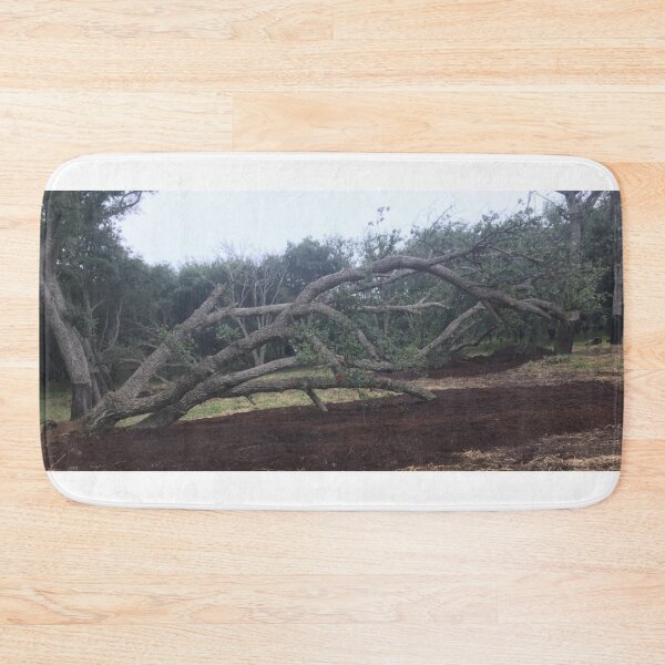 Item preview, Cork plantation, Canberra designed and sold by RogerRoy.