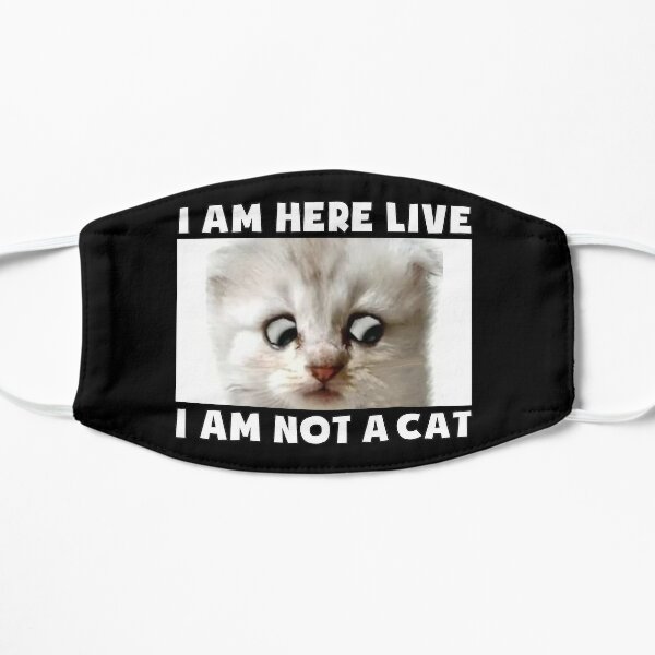 Im Not A Cat Gifts Merchandise Redbubble