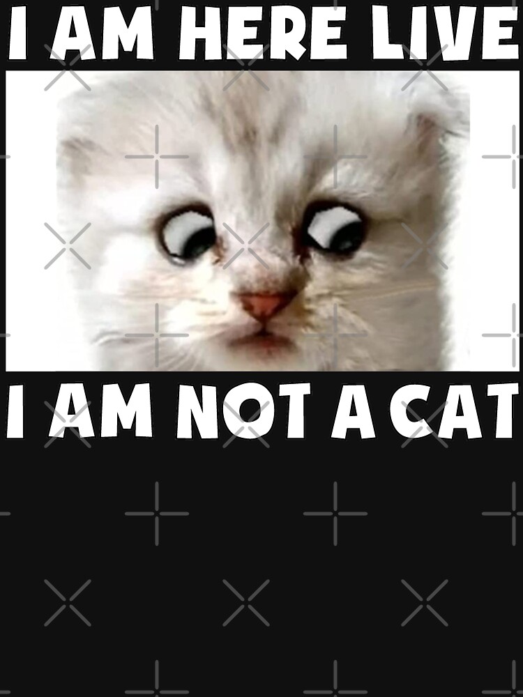 "I AM Not A Cat Meme" Tshirt for Sale by SerialDesigners Redbubble