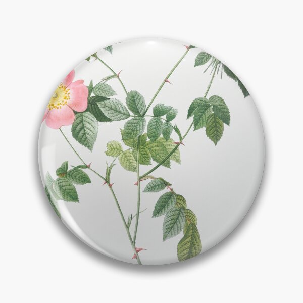 Item preview, Les Roses by Pierre-Joseph Redouté designed and sold by EsotericBotanic.