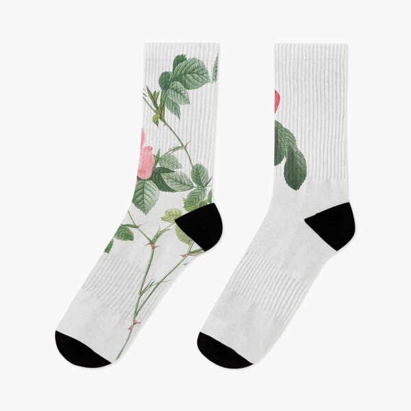 Item preview, Les Roses by Pierre-Joseph Redouté designed and sold by EsotericBotanic.