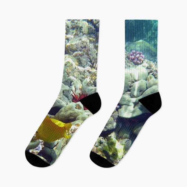 Item preview, Underwater Coral and Tropical Fish Hawaii, photo designed and sold by Nostrathomas66.