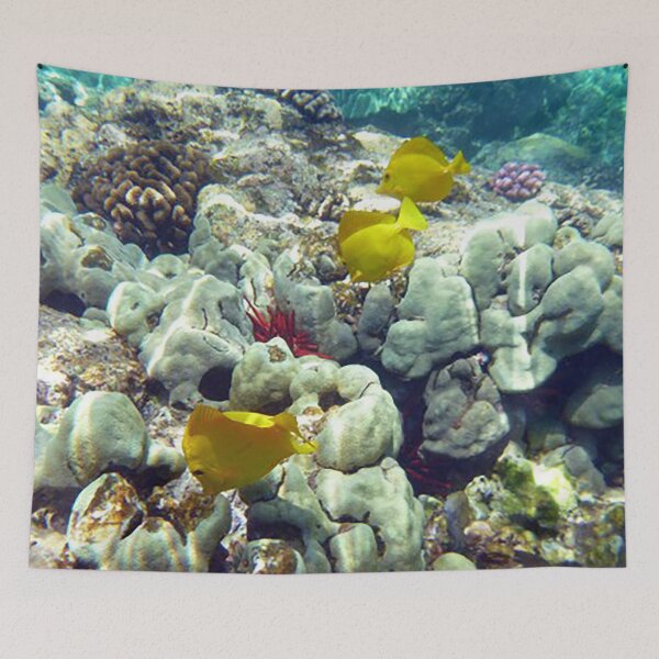 Item preview, Underwater Coral and Tropical Fish Hawaii, photo designed and sold by Nostrathomas66.