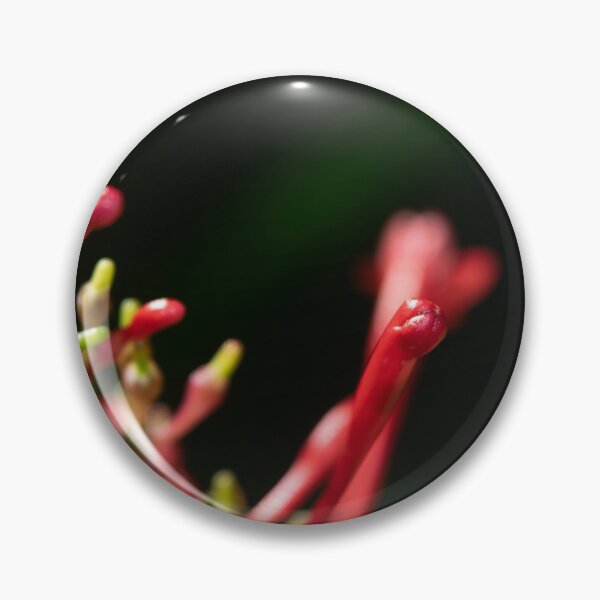 Item preview, Flowers designed and sold by irosh madushan.