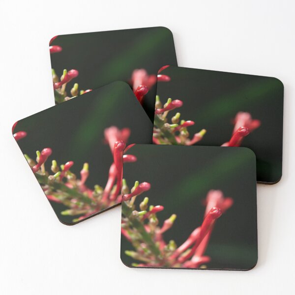 Item preview, Flowers designed and sold by irosh madushan.