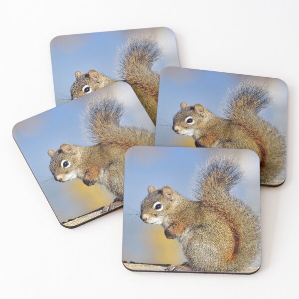 Item preview, Friendly Squirrel designed and sold by Teresa Zieba.