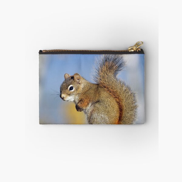 Item preview, Friendly Squirrel designed and sold by Teresa Zieba.
