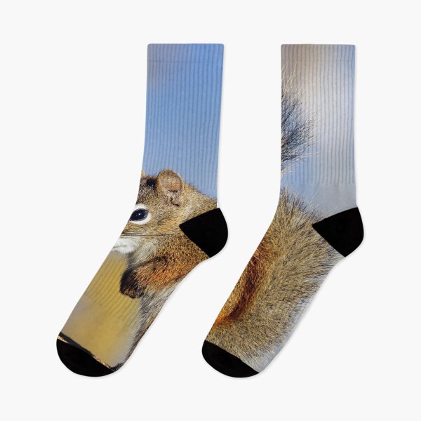 Item preview, Friendly Squirrel designed and sold by Teresa Zieba.