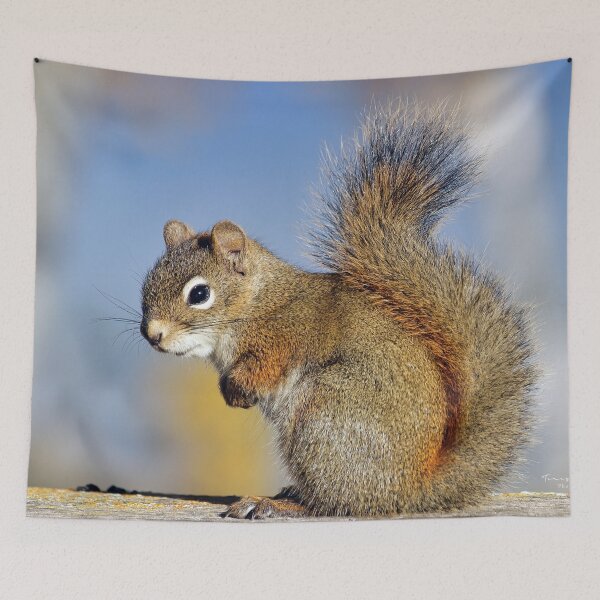 Item preview, Friendly Squirrel designed and sold by Teresa Zieba.