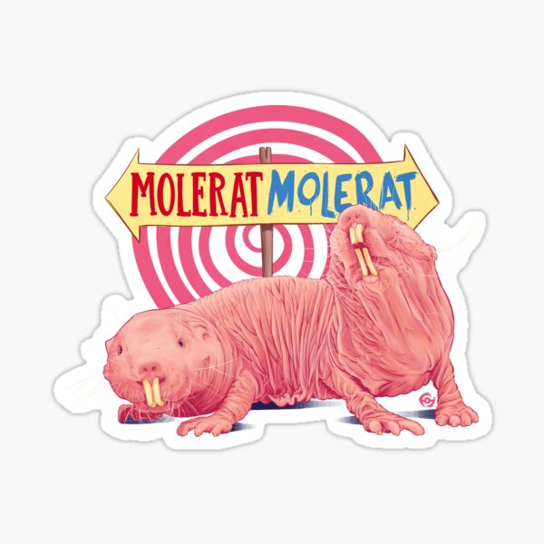 Naked Mole Rat Stickers Redbubble
