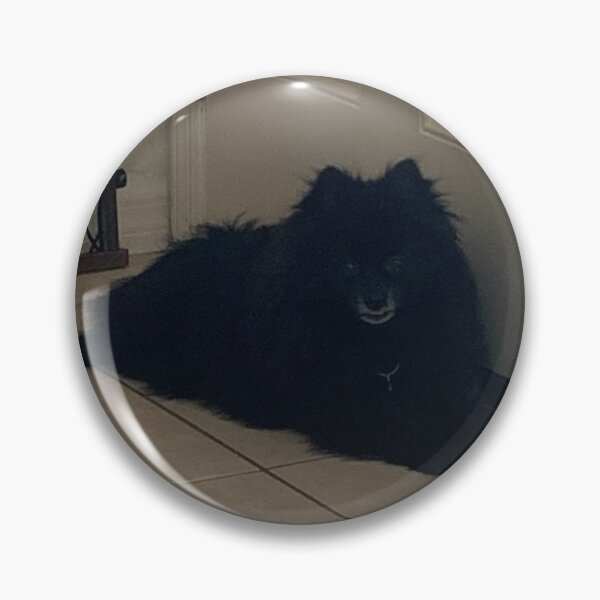 Item preview, Pomeranian pup life designed and sold by BasketKisses.