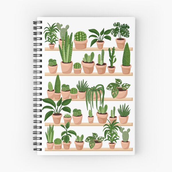 Item preview, Succulents and Cacti Plants on Shelves Print designed and sold by oixxo.