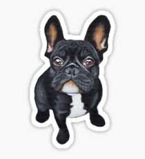 Französische Bulldogge Sticker