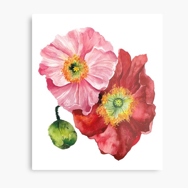 Pink and Red Poppies Metal Print