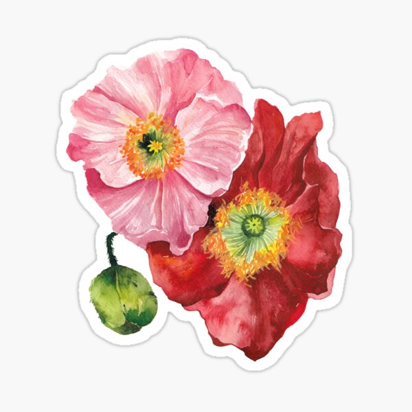 Pink and Red Poppies Sticker