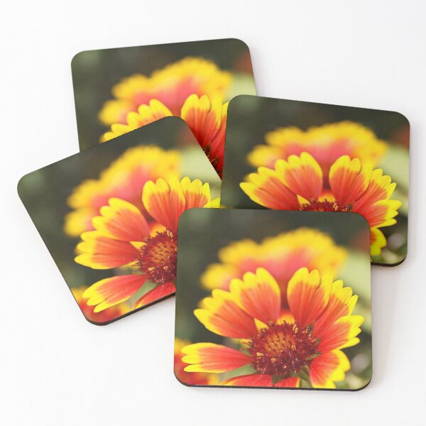 Item preview, Gaillardia Flower Summer designed and sold by Joy Watson - Natural Light Photography .