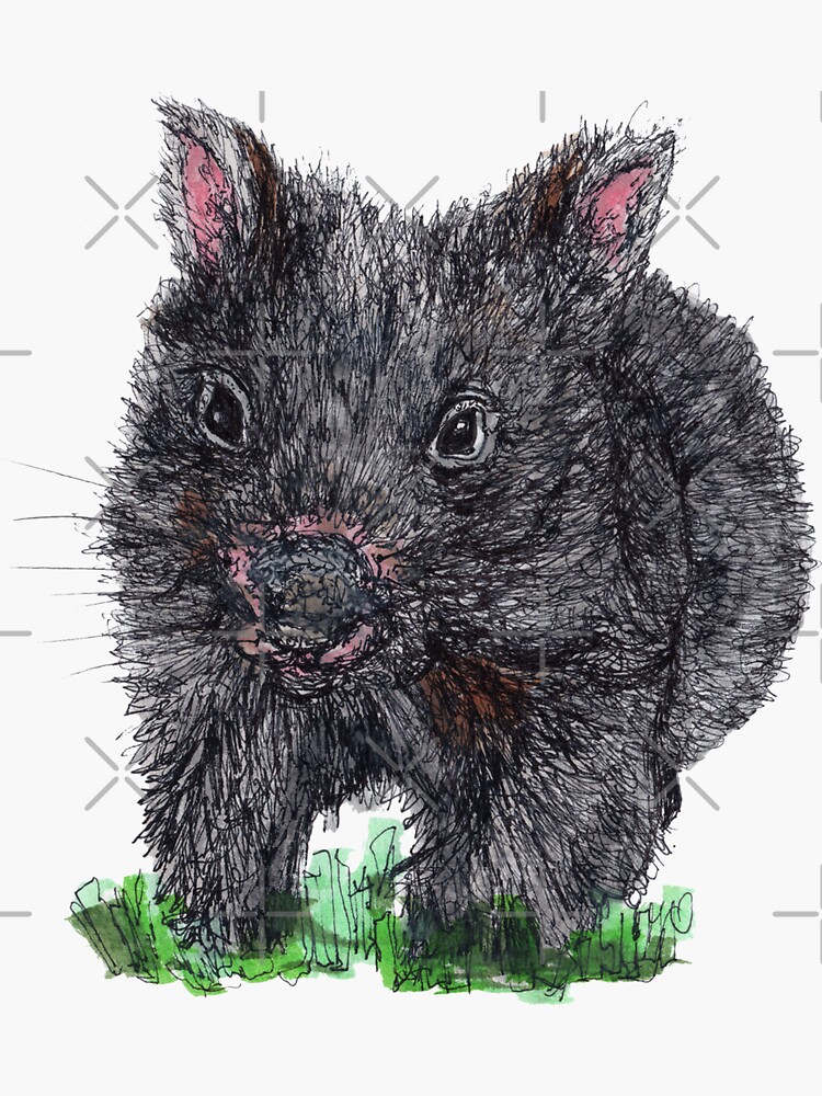 Billie the Baby Wombat by Wildcard-Sue