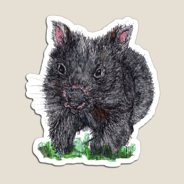 Billie the Baby Wombat Magnet