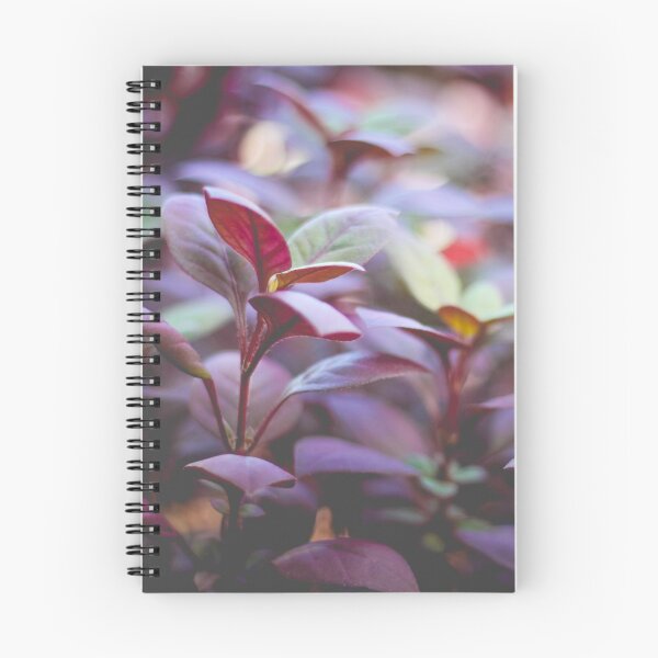 Item preview, Under the leaf designed and sold by missemedia.