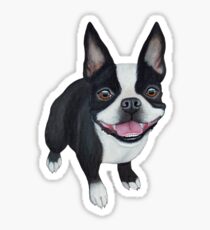 Boston Terrier Sticker