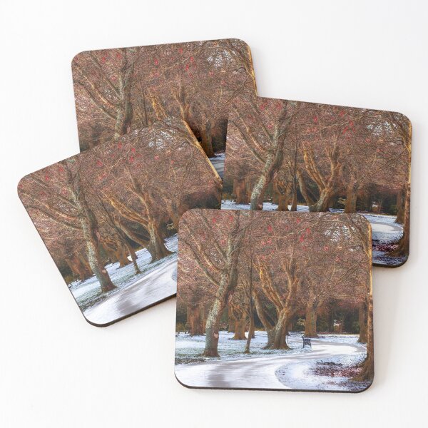 Item preview, Snow Covered Path At Locke Park designed and sold by Alisonchambers2.