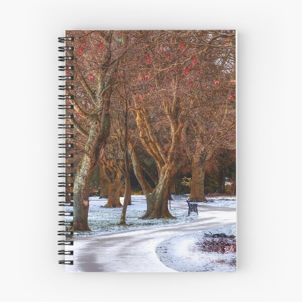 Item preview, Snow Covered Path At Locke Park designed and sold by Alisonchambers2.