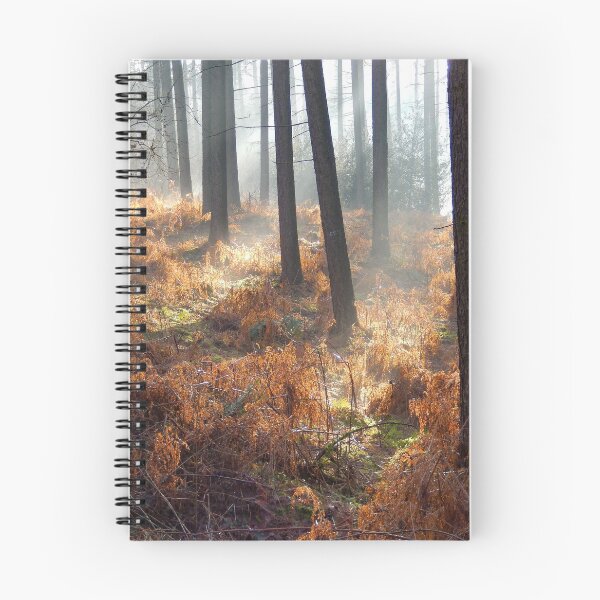 Item preview, surreal enchanted forest magical place  designed and sold by nature scenerys.