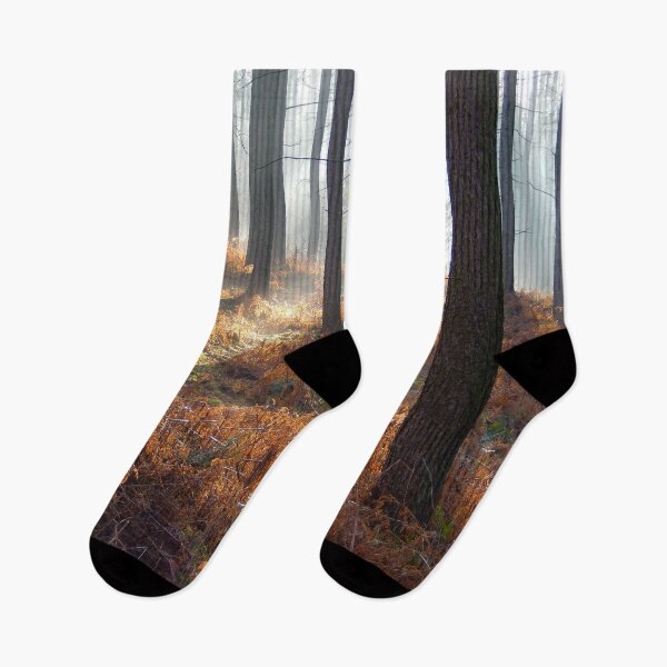 Item preview, surreal enchanted forest magical place  designed and sold by nature scenerys.