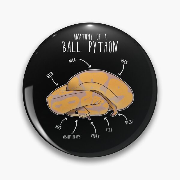 Item preview, Anatomy of a Banana Ball Python designed and sold by Clara Hollins.