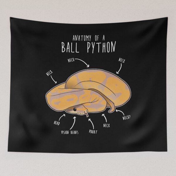 Item preview, Anatomy of a Banana Ball Python designed and sold by Clara Hollins.