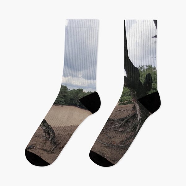 Item preview, Tree Roots Sandy Landscape in The Netherlands - Bedaf designed and sold by VvdVenDesign.