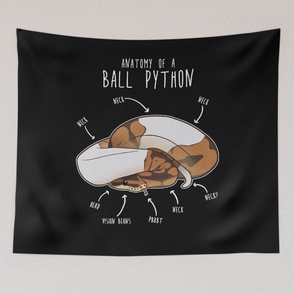 Item preview, Anatomy of a Piebald Ball Python designed and sold by Clara Hollins.