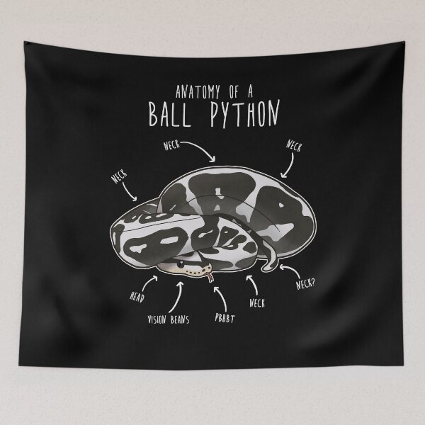 Item preview, Anatomy of an Axanthic Ball Python designed and sold by Clara Hollins.