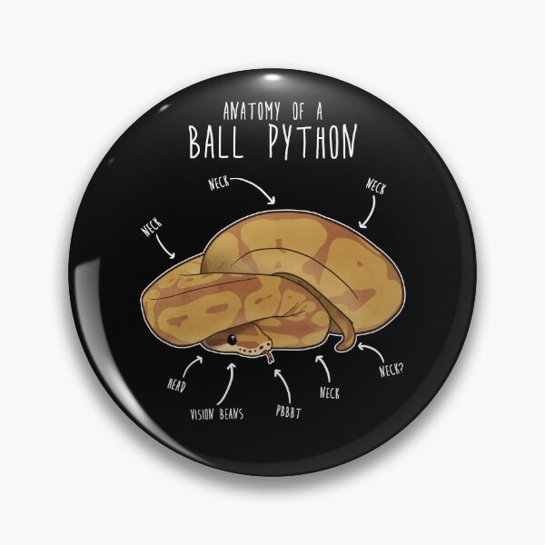 Item preview, Anatomy of a Caramel Ball Python designed and sold by Clara Hollins.