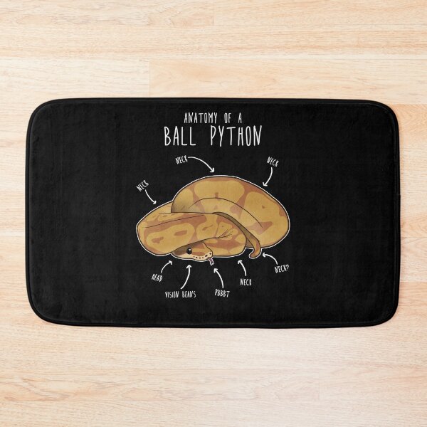 Item preview, Anatomy of a Caramel Ball Python designed and sold by Clara Hollins.