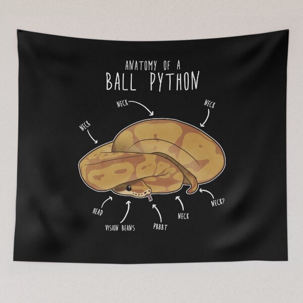 Item preview, Anatomy of a Caramel Ball Python designed and sold by Clara Hollins.