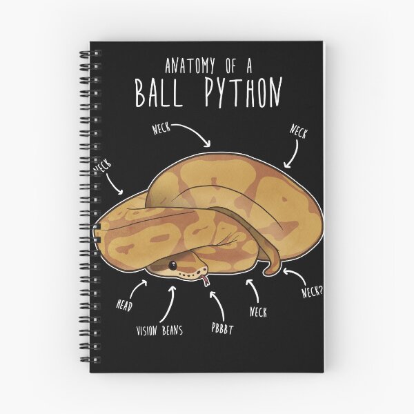 Item preview, Anatomy of a Caramel Ball Python designed and sold by Clara Hollins.