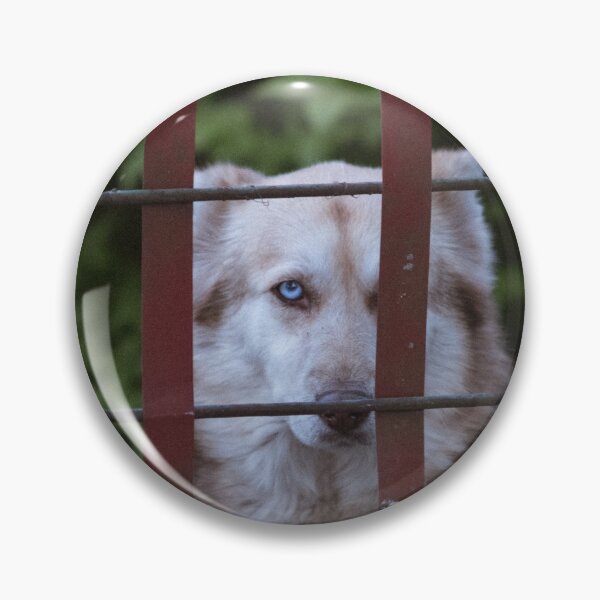 Item preview, A Longing Dog designed and sold by Herbor-Johnny.