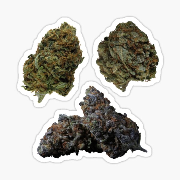 Bud Set 06 (Sticker/Magnet) Sticker