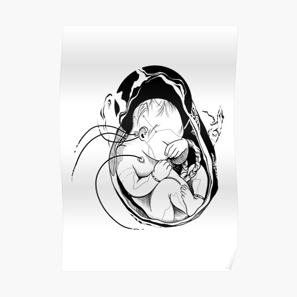 The Womb Poster