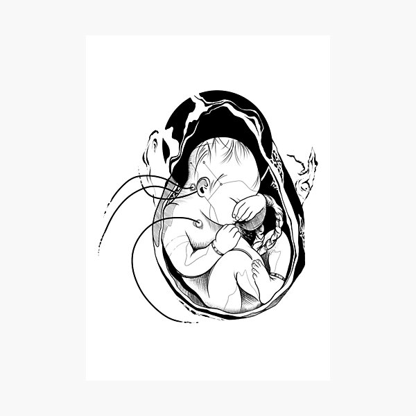 The Womb Photographic Print