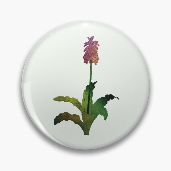 Item preview, Veltheimia Capensis | Sand Lily designed and sold by Wallpacas.