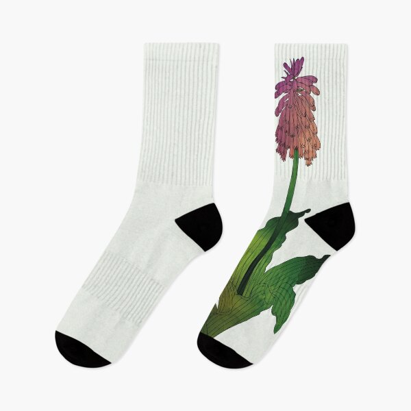 Item preview, Veltheimia Capensis | Sand Lily designed and sold by Wallpacas.