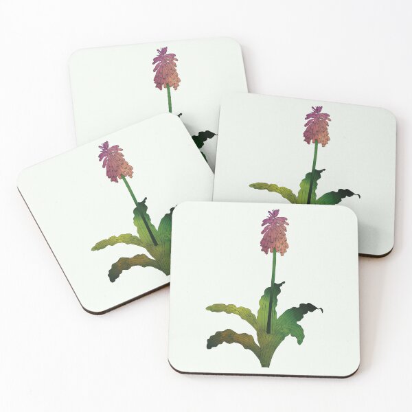 Item preview, Veltheimia Capensis | Sand Lily designed and sold by Wallpacas.